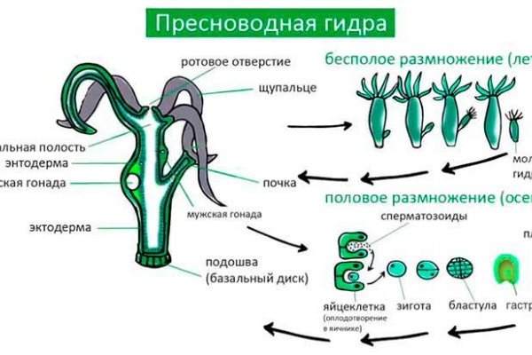 Актуальные ссылки кракен на 2025