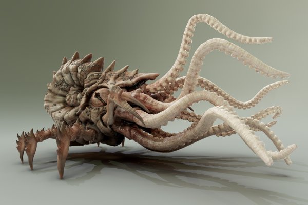 Кракен ссылка kraken