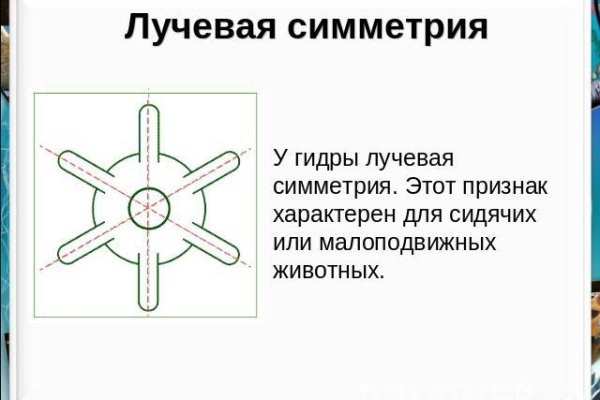 Кракен дарк сайт